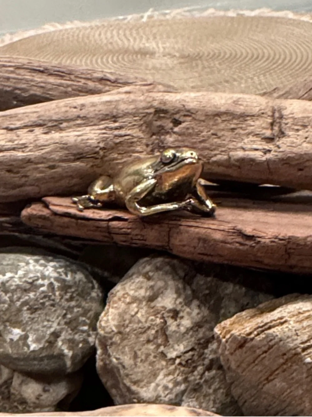 Brass Frog Décor Accent